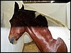 100_5541.JPG