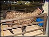 100_5592.JPG