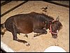 100_5597.JPG
