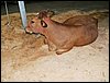 100_5598.JPG