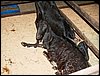 100_5600.JPG