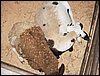 100_5602.JPG