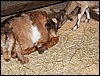 100_5603.JPG