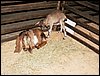 100_5605.JPG