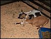 100_5606.JPG