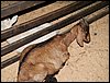100_5607.JPG