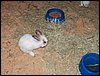 100_5608.JPG