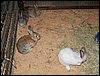 100_5609.JPG