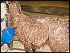 100_5610.JPG