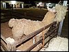 100_5614.JPG