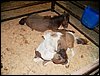 100_5615.JPG