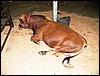 100_5616.JPG