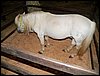 100_5617.JPG