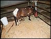 100_5619.JPG