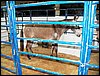 100_5622.JPG
