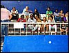 100_5637.JPG