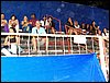 100_5638.JPG