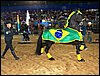 100_5733.JPG