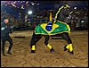 100_5734.JPG
