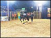 100_5747.JPG