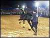 100_5748.JPG