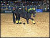 100_5749.JPG
