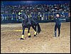100_5750.JPG