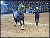 100_5751.JPG