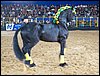 100_5752.JPG