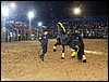 100_5755.JPG