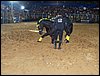 100_5756.JPG