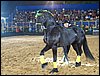 100_5757.JPG
