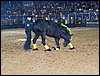 100_5760.JPG