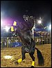 100_5761.JPG
