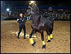 100_5764.JPG