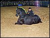 100_5768.JPG