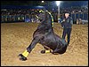 100_5769.JPG