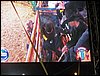100_5774.JPG