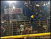 100_5775.JPG
