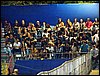 100_5783.JPG