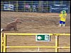 100_5799.JPG