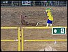 100_5800.JPG