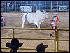 100_5803.JPG
