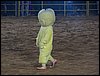 100_5807.JPG
