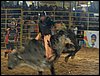 100_5813.JPG