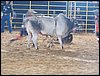 100_5815.JPG
