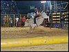 100_5975.JPG