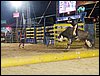 100_5979.JPG