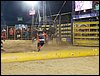 100_5980.JPG