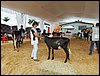 P9060001.JPG